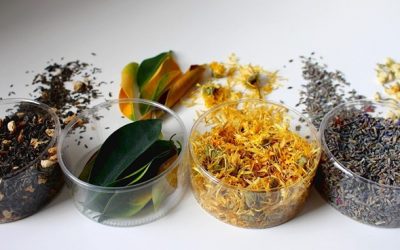 Herbal Infusions and Herbal Extracts: A Guide for Cosmetic Manufacturers